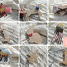 Frankie Shanks Photo 3