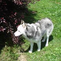 Kimberly Reece Photo 7