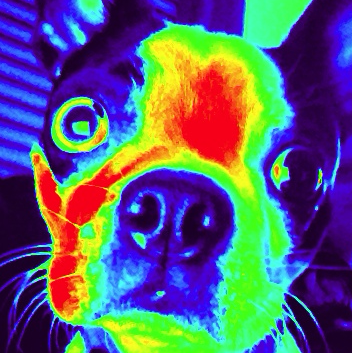 Heather Moss Photo 18