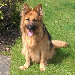 Billy Bowen Photo 29