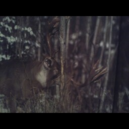 Jamie Holden Photo 17