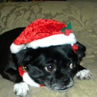 Nita Summers Photo 6