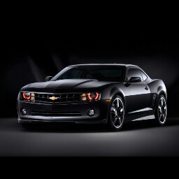 David Mock Photo 18 David Mock Photo 18