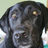 Samantha Ames Photo 16