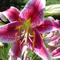 Larry Summers Photo 32 Larry Summers Photo 32