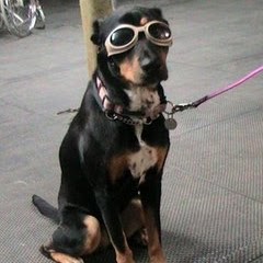 Cathy Wells Photo 10