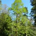 Dawn Cutler Photo 7
