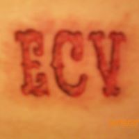 Jeffery Parker Photo 32