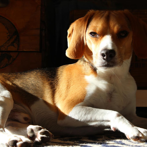 Mikael Cramer Photo 1