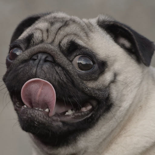 Peter Burton Photo 31