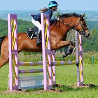 Stacey Skinner Photo 31