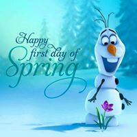 Renee Olsen Photo 17