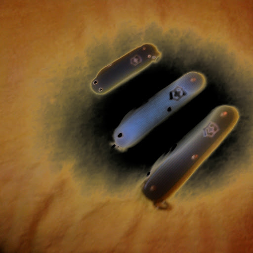 Robert Vaughan Photo 43