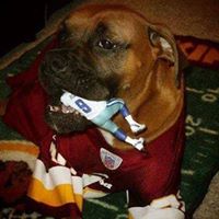 Sandy Schrader Photo 10