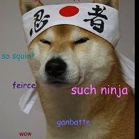 Randall Torres Photo 2