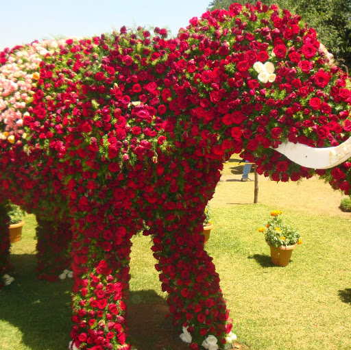 Krishnan Kumar Photo 23