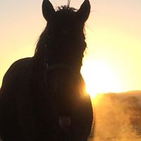 Michael Prendergast Photo 27