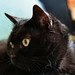 Brian Whicker Photo 13