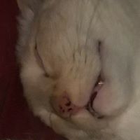 Jeffery Ray Photo 20