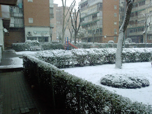 Yusef Mohamed Photo 18