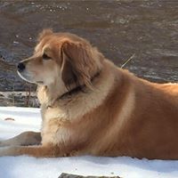 Tracy Bradley Photo 25