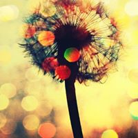 Teresa Swain Photo 6