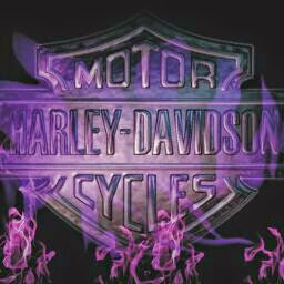 Cheryl Davenport Photo 35