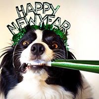 Marty Graham Photo 11