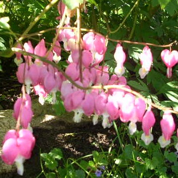 Linda Matthews Photo 25