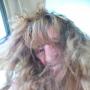 Sara Driscoll Photo 6