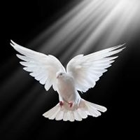 Jeremias Rodriguez Photo 21