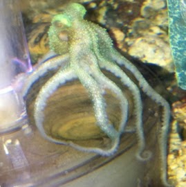 James Riddle Photo 11