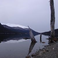 Federico Maciel Photo 16