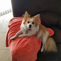 Jill Garrett Photo 28