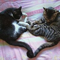 Jamie Redding Photo 28