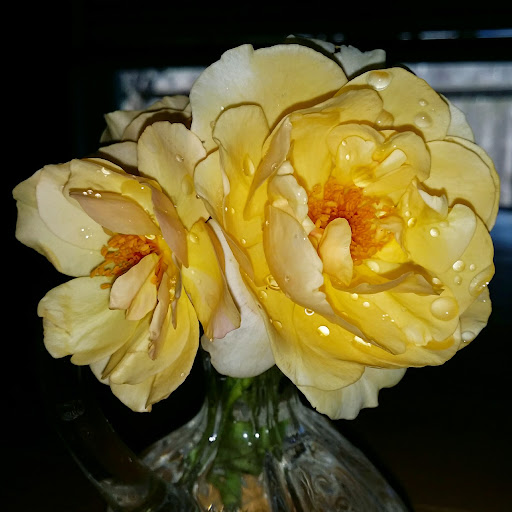 Jennifer Mcdaniel Photo 42