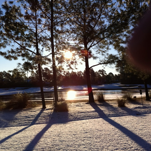 Harry Pitman Photo 4