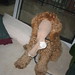 Sandford Cohen Photo 5