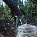 Peter Swanson Photo 14