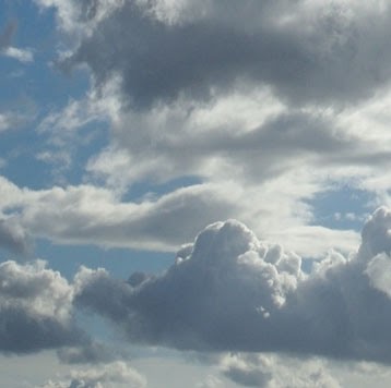 William Fifield Photo 5