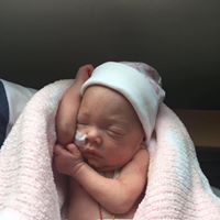 Julia Clements Photo 19