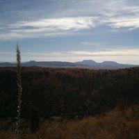 Ellen Geismar Photo 2