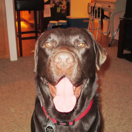 Sarah Flood Photo 12