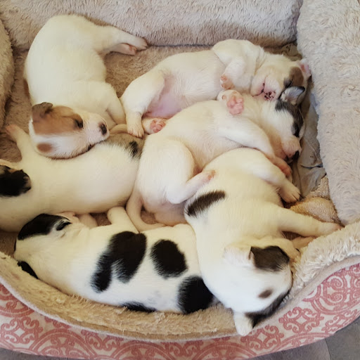 Vickie Parker Photo 8