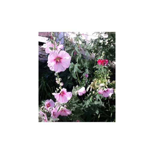 Susan Hathaway Photo 32