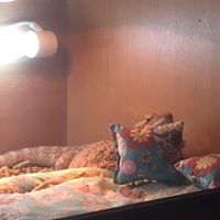 Caroline Clements Photo 32