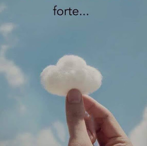 Michele Mauro Photo 10