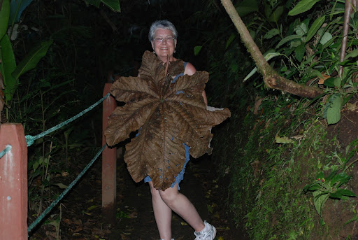 Linda Dowdy Photo 21
