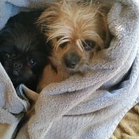 Christina Bristow Photo 11