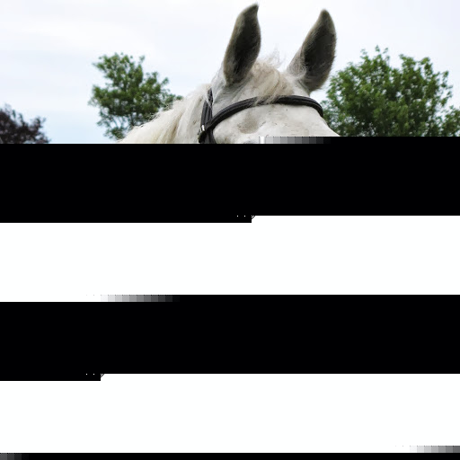 Donna Christie Photo 14